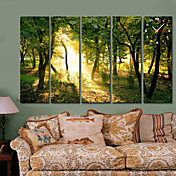  style moderne vert forêt horloge murale en toile 5pcs