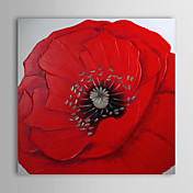 Peint à la main peinture à l'huile de fleur florale avec cadre étiré 1309-FL0925