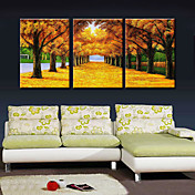 mx peints à la main peinture route dorée à l'huile avec cadre étiré ensemble de 3-9154