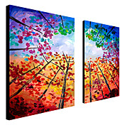 Peint à la main peinture à l'huile florale avec cadre étiré Lot de 2 1309-FL0886