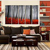 Reproduction transférée sur toile Art landscpe Matin brumeux Ensemble de 5