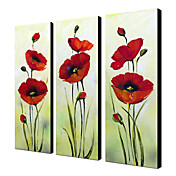 Main peinture à l'huile peinte florale rouge de fleur avec Set cadre tendu de 3