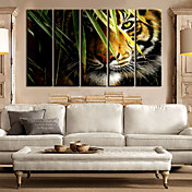 Étiré roi d'art de toile Paysage animaux de la forêt Ensemble de 5