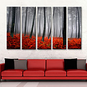 [XmasSale]ensemble de 5 paysage de toile rose de forêt dans le coucher du soleil toiles tendues prêt à accrocher