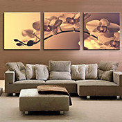 Reproduction transférée sur toile Art Floral Tender Orchid Ensemble de 3