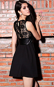 TS sexy Splice Lace Dress PU