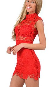 Women's Stand Dress , Lace Mini Sleeveless