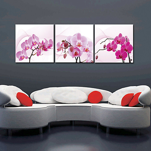 Натянутым холстом Искусство Цветочные Orchid Набор из 3