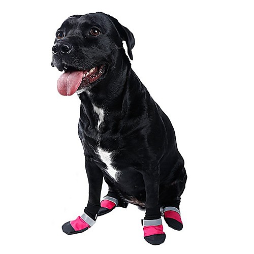 Cat Dog Boots / Shoes Cosplay Holiday Casual / Daily Stripes For Pets Fabric Red / Summer / Winter / Waterproof
Cat Dog Boots / Shoes Cosplay Holiday Casual / Daily Stripes For Pets Fabric Red / Summer / Winter / Waterproof