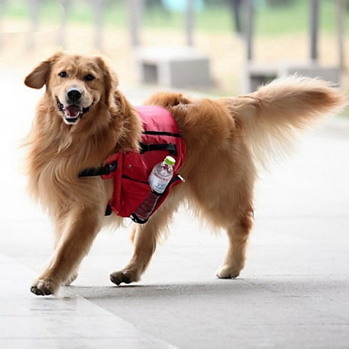 Dog Carrier Bag & Travel Backpack Dog Pack Dog Backpack Dog Saddle Bag Waterproof Portable Pet Textile Red Green Blue
Dog Carrier Bag & Travel Backpack Dog Pack Dog Backpack Dog Saddle Bag Waterproof Portable Pet Textile Red Green Blue