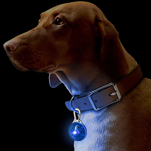 фото Кошка собака ошейники таблички светодиодные фонарики безопасность однотонный пластик зеленый синий розовый Lightinthebox