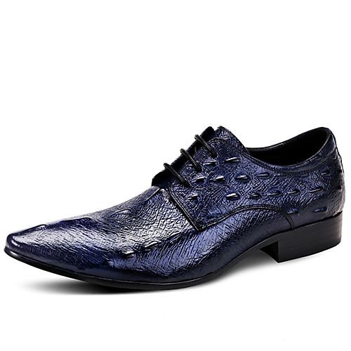 Муж. Официальная обувь Наппа Leather Весна Деловые / Английский Туфли на шнуровке Сохраняет тепло Черный / Синий / Винный 
Муж. Официальная обувь Наппа Leather Весна Деловые / Английский Туфли на шнуровке Сохраняет тепло Черный / Синий / Винный