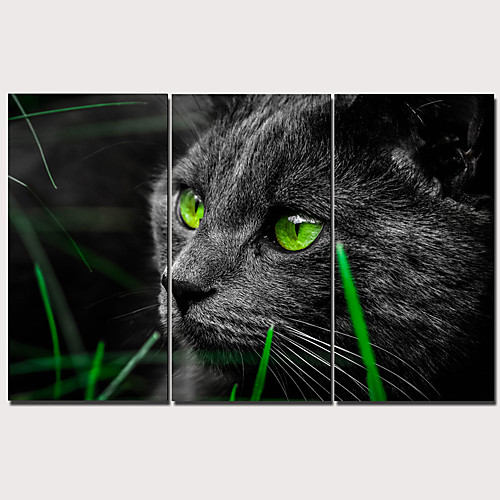 Print Stretched Canvas Prints - Modern Realism Classic Modern Three Panels Art Prints
Print Stretched Canvas Prints - Modern Realism Classic Modern Three Panels Art Prints