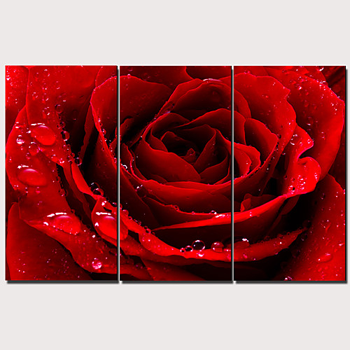Print Stretched Canvas Prints - Arts Modern Traditional Modern Three Panels Art Prints
Print Stretched Canvas Prints - Arts Modern Traditional Modern Three Panels Art Prints