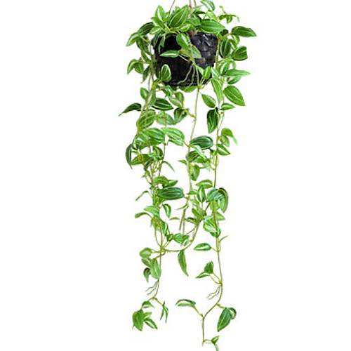 Artificial Plants Simple Style Wall Flower 1 
Artificial Plants Simple Style Wall Flower 1