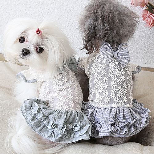 Dog Costume Dress Dog Clothes Breathable Green Gray Costume Beagle Bichon Frise Chihuahua Fabric Bowknot Embroidered Flower Casual / Sporty Cute XS S M L XL
Dog Costume Dress Dog Clothes Breathable Green Gray Costume Beagle Bichon Frise Chihuahua Fabric Bowknot Embroidered Flower Casual / Sporty Cute XS S M L XL