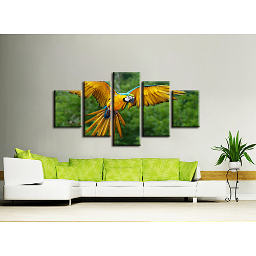 5 Pieces Printing Decorative Painting Oil Painting Home Decorative Wall Art Picture Paint on Canvas Prints Animals Floral
5 Pieces Printing Decorative Painting Oil Painting Home Decorative Wall Art Picture Paint on Canvas Prints Animals Floral