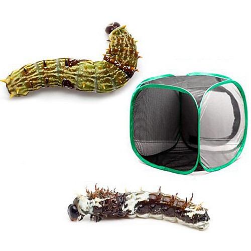 Black Net Green Edge Insect-proof Cages Collapsible Plants Greenhouse Transparent Observation Room Insect Hatching Box Butterfly Cage
Black Net Green Edge Insect-proof Cages Collapsible Plants Greenhouse Transparent Observation Room Insect Hatching Box Butterfly Cage
