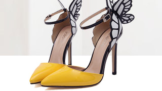 Schuhe Shoe Showing