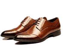 Fancy Shoes WESTLAND®
