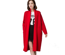Women's New Autumn Coat
