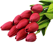Kunstige blomster - nyheder