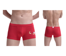 Moda Íntima Masculina Sexy