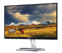 Monitors New Arrivals