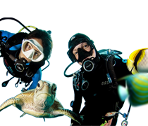 Water Sports