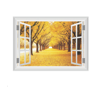 Adhesivos de pared
