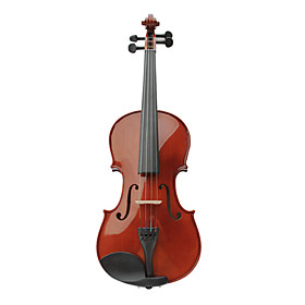 blank solid gran violin med case / bue / kolofonium (multi-format)