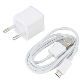 Euro Plug Micro USB Wall Charger for Samsung Galaxy S3/S4 and Other Cellphone (White)
