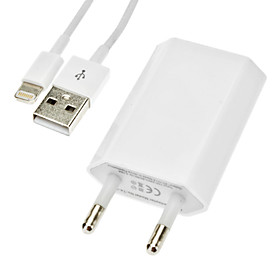 Travel Charger with 8pin Data Transmission Cable for iPhone 5 (8 pin,5V 1A, EU Plug)