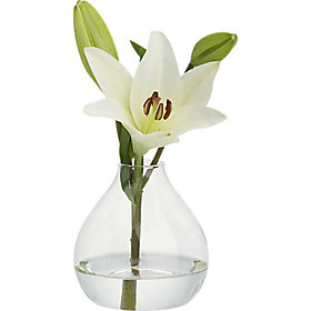 Table Centerpieces Simple Clear Glass Vase Table Deocrations