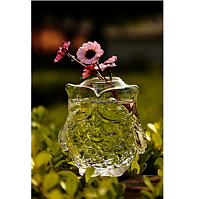 Table Centerpieces Owl Shaped Glass Vase Table Deocrations