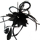 fascinateur speciale...