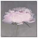 Imprime sur toile florale de rose de fleur par Erin Clark avec cadre etire