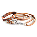 Universal cuir verit...