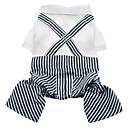 Beau modele Stripe S...