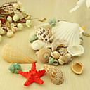 Belle Ocean Shell decoration de mariage