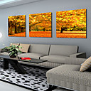 Reproduction transferee sur toile art paysage erables d automne set de 3