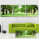 Reproduction transferee sur toile Art Paysage Arbres Vert Set de route de 3