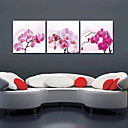 Reproduction transferee sur toile Art Floral Orchid Ensemble de 3