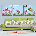 Reproduction transferee sur toile Art floral papillon Set de 3