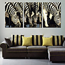 Reproduction transferee sur toile Art Animalier Groupe Zebra Ensemble de 3