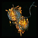 100 LED 10M jaune decoration de corde de lumiere pour la noce de Noe