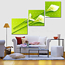 Reproduction transferee sur toile Art botaniques vol tuplips Lot de 3 Reproduction transferee sur toile Art botaniques vol tuplips Lot de 3