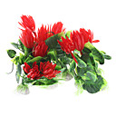5 Les plantes en pla...