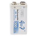 Goop 300mAh Batterie rechargeable 9V