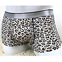 De leopard Shorts et...